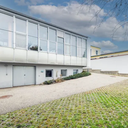 Heller Showroom mit Büroflächen auf 330 m² aufgeteilt auf Erdgeschoß und Gartengeschoß | Nähe Wien | Barrierefrei - Bild 3