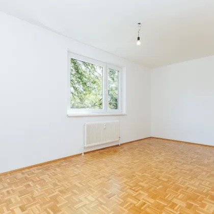 DIREKT AN DER MUR I PARKPLATZ I SÜDBALKON I BADEWANNE I SEHR HELL I WG TAUGLICH I 4 EXTRA BEGEHBARE ZIMMER I AB SOFORT I 2. OG MIT LIFT I HAUSTIERE WILLKOMMEN I - Bild 2