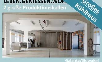 GEWERBEOBJEKT MIT PRODUKTIONSHALLEN & KÜHLHAUS