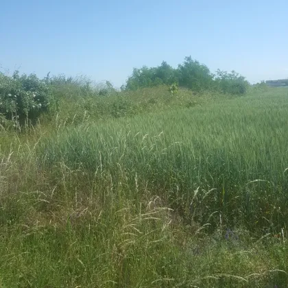 BETRIEBSBAUGRUNDSTÜCKE IM INDUSTRIEGEBIET SEYRING (10.433m²) - Bild 2