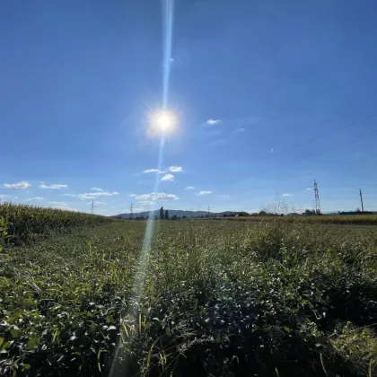 WIR haben das perfekte Gewerbegrundstück für SIE - ca. 1,5 ha großes GEWERBEGRUNDSTÜCK 0,3 - 2,0 Dichte mit direkter Nähe zur Autobahn und zur Eisenbahn! Alternativen in der Umgebung auch verfügbar! - Bild 2