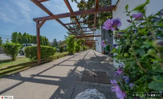 ++NEU in Wiener Neudorf++Südseitige Dachgeschosswohnung mit Loggia – Ihr sonniges Zuhause++Wohnen im Grünen – Ideal für junge Familien und Paare++