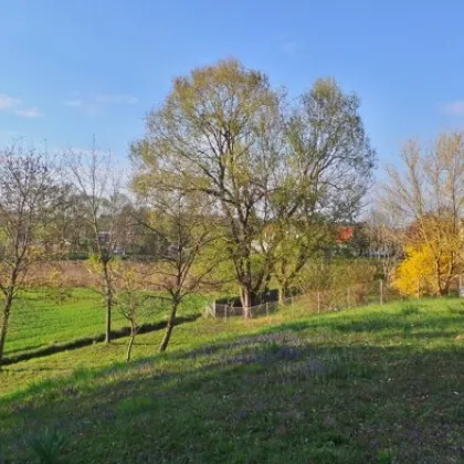 Vermietetes Landhaus in Stadtrandlage, 6ZI mit Nebengebäude, 1000m²Garten - Bild 3