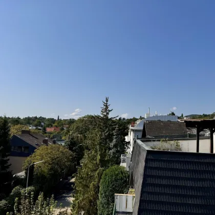 BESSER GEHT´S NICHT - WOHNEN AM FUSSE DES WIENER NUSSBERGS - wunderschön gelegene Wohnung mit Dachterrasse und Blick über Wien wie auch auf den Wiener Nussberg - Bild 3