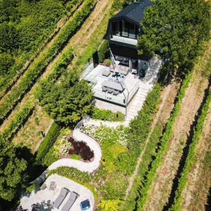 RARITÄT der EXTRAKLASSE! Perfekt revitalisiertes Weingartenhaus mit atemberaubendem Fernblick inmitten der Döblinger Weinberge! - Bild 3