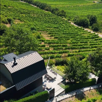 RARITÄT der EXTRAKLASSE! Perfekt revitalisiertes Weingartenhaus mit atemberaubendem Fernblick inmitten der Döblinger Weinberge! - Bild 2