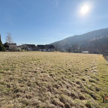 Graz – „Am Kehlberg“, einzigartige Gelegenheit – 4.851 m² (davon 1.770 m² bereits als Bauland gewidmet) in bester Lage! - Bild 2