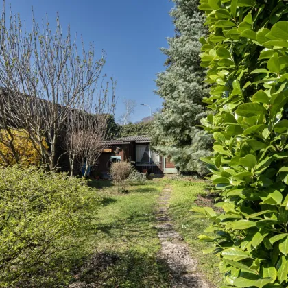 ** Netter Bungalow mit Wintergarten auf großem Grundstück - Direkt beim Schlosspark ** - Bild 2