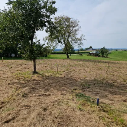 Ihr Baugrundstück in Eisengattern/Kirchham! - Bild 2