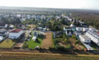 Familie oder Bauträger? Hier kommen alle auf ihre Kosten!