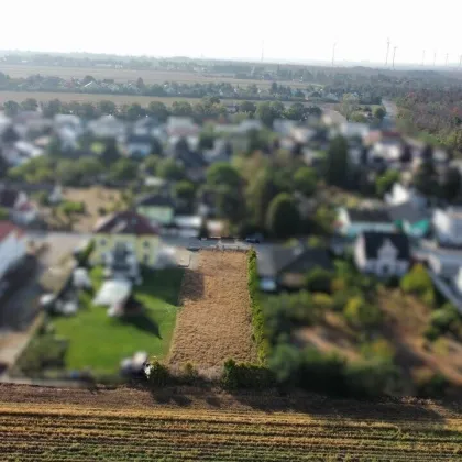 Familie oder Bauträger? Hier kommen alle auf ihre Kosten! - Bild 2