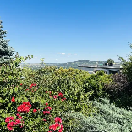 Kleines ausbaufähiges Einfamilienhaus auf exklusivem Grundstück am Ölberg mit Fernblick  – Anlageobjekt - Bild 3