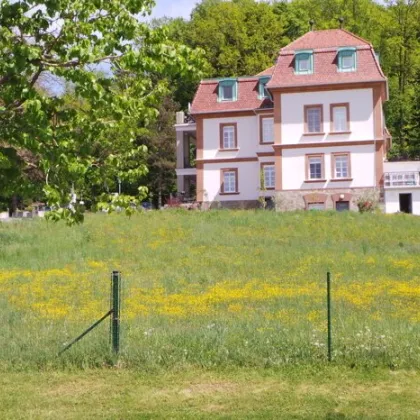 Idylische Lage am Park im beliebten Kurort, sonnige 3ZI+ 60m² Wohn-Terrasse schöner Ausblick ,PP - Bild 2