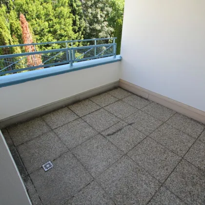 4-Zimmer-Neubauwohnung mit Loggia | 114m² | Einbauküche | optionaler KFZ-Stellplatz | zusätzliche/s Wohnung/Büro mit 95m² im Haus verfügbar - Bild 2