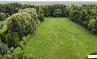 Nationalpark Neusiedler See - Beeindruckendes Grundstück mit ca. 5.825 m² in Top Lage / Randlage