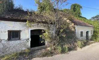 ZWEI PRESSHÄUSER mit Weingarten - Traumhaftes Weingut in Feuersbrunn, Niederösterreich - Perfekt für Landwirtschaft und Weinliebhaber!