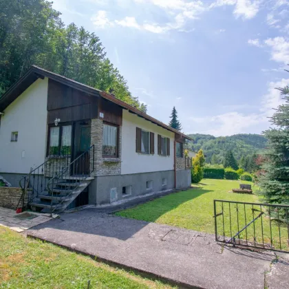 Zwischen Wald und Vogerlgezwitscher - Kleines Haus im Grünen - Bild 2