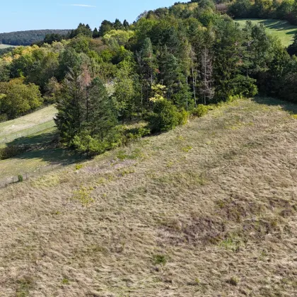 Voll aufgeschlossenes Baugrundstück im Wienerwald - Bild 3