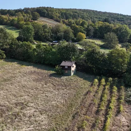 Voll aufgeschlossenes Baugrundstück im Wienerwald - Bild 2