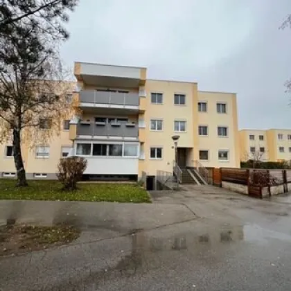 Liebevoll eingerichtete 2-Zimmer-Wohnung mit Loggia - Bild 3