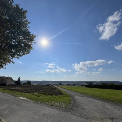 Weinidylle Südburgenland: Bungalows zur Miete - Bild 2