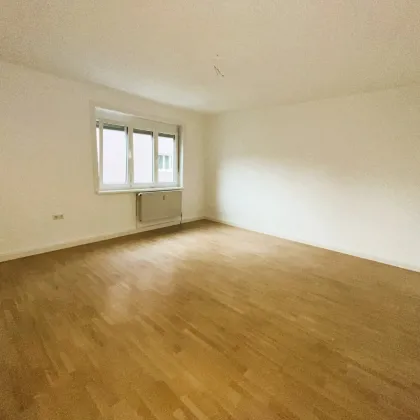 Günstige und gemütliche Kleinwohnung in Ruhelage! - Bild 3