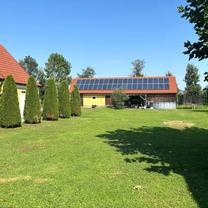 Herrschaftliches, top saniertes 280m² Bauernhaus im Erzherzog-Johann Baustil mit Gutshofcharakter, großem Innenhof, Garagen- und Nebengebäuden, in Ortslage - Bild 3