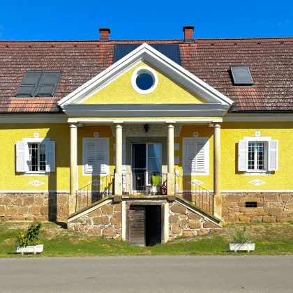 Herrschaftliches, top saniertes 280m² Bauernhaus im Erzherzog-Johann Baustil mit Gutshofcharakter, großem Innenhof, Garagen- und Nebengebäuden, in Ortslage - Bild 2