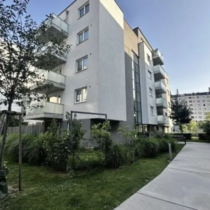 Frühstücksbalkon mit Morgensonne im Sonnwendviertel - Bild 3