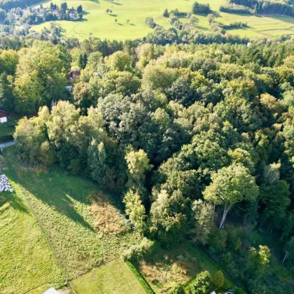 Traumhaftes Hanggrundstück in Altlengbach mit Weitblick und hervorragender Anbindung! - Bild 2