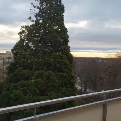 Dachgeschosswohnung mit Terrasse in zentraler Lage in Baden - Bild 2