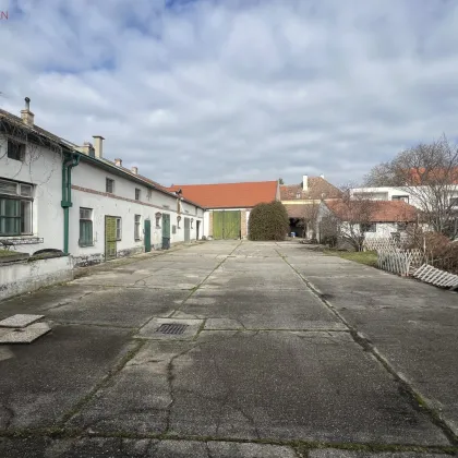 Baugrund in Fischamend Stadtzentrum - Bild 2