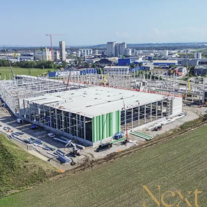 NEUBAU - Lager-/Produktionshalle (optional mit Büroflächen) in Ennsdorf zu vermieten! - Bild 2