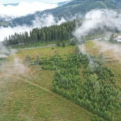 KORALPE: Grundstück mit touristischer Nutzung und vielen Möglichkeiten! - Bild 3