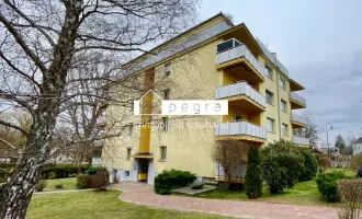 Dachgeschoßwohnung, sanierungsbedürftig mit großer Terrasse