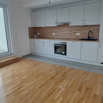 Breitenlee - Lindenhof! 42 freifinanzierte Mietwohnungen - in den Größen von ca. 39m² bis ca. 90m². - Bild 2