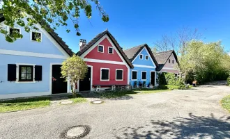 Exklusives Seehaus mit direktem Seezugang im Seepark Halbinsel III, Weiden am See