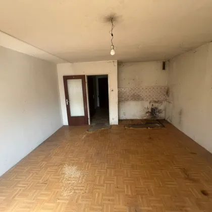 Helle 35m² Wohnung /   4. Liftstock / sanierungsbedürftig - Bild 3