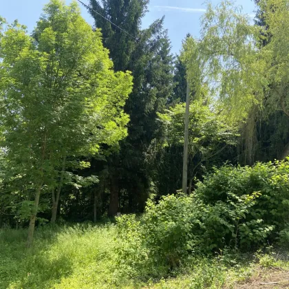 neuer Preis: idyllisches Baugrundstück ohne Bauzwang in Jeging, nahe Lochen am See - Bild 2