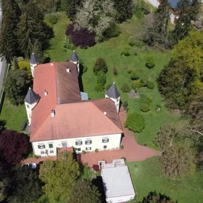 Ein Märchenschloss Nähe Wildon-komplett saniert mit prachtvoller 40.000m² Parkanlage - Biomasseheizung! - Bild 2