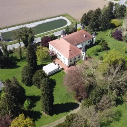 Ein Märchenschloss Nähe Wildon-komplett saniert mit prachtvoller 40.000m² Parkanlage - Biomasseheizung! - Bild 2