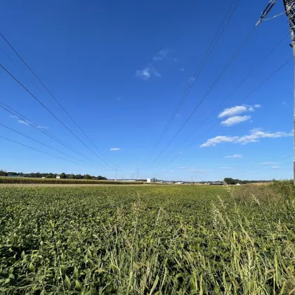 WIR haben das perfekte Gewerbegrundstück für SIE - ca. 1,5 ha großes GEWERBEGRUNDSTÜCK 0,3 - 2,0 Dichte mit direkter Nähe zur Autobahn und zur Eisenbahn! Alternativen in der Umgebung auch verfügbar! - Bild 3