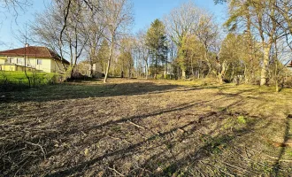 Schönes teilbares Baugrundstück in absoluter Ruhelage