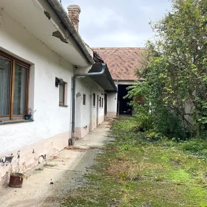 Altes Bauernhaus, riesiger Garten, großer Stadel - Bild 3