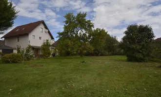 Living Office - Wohnhaus mit Garten in Maissau