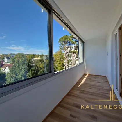 Frisch renovierte 2-Zimmer-Wohnung mit Loggia & Blick auf die Burg Liechtenstein - Bild 3