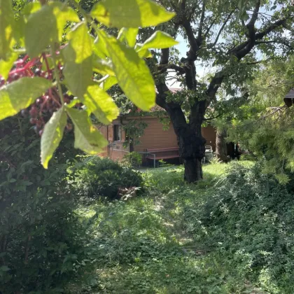 Gartenidyll beim Marchfelder Kanal - Bild 3