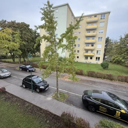 Klein aber fein! vermietete 1-Zimmer Wohnung in Mödling(Sanierungsbedürftig) - Bild 3