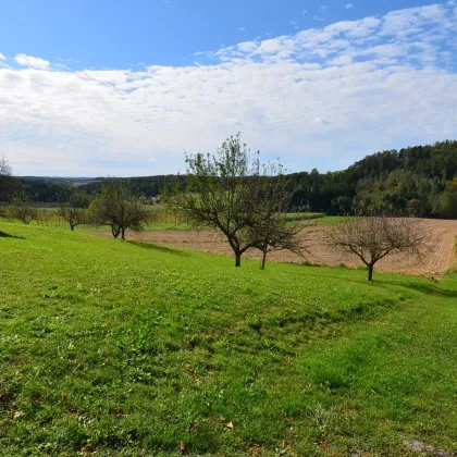 BAUGRUNDSTÜCK am ORTSRAND in Grünruhelage - Bild 3