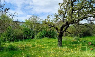 Wohnen in Strasshof I Siedlungslage [A\\]